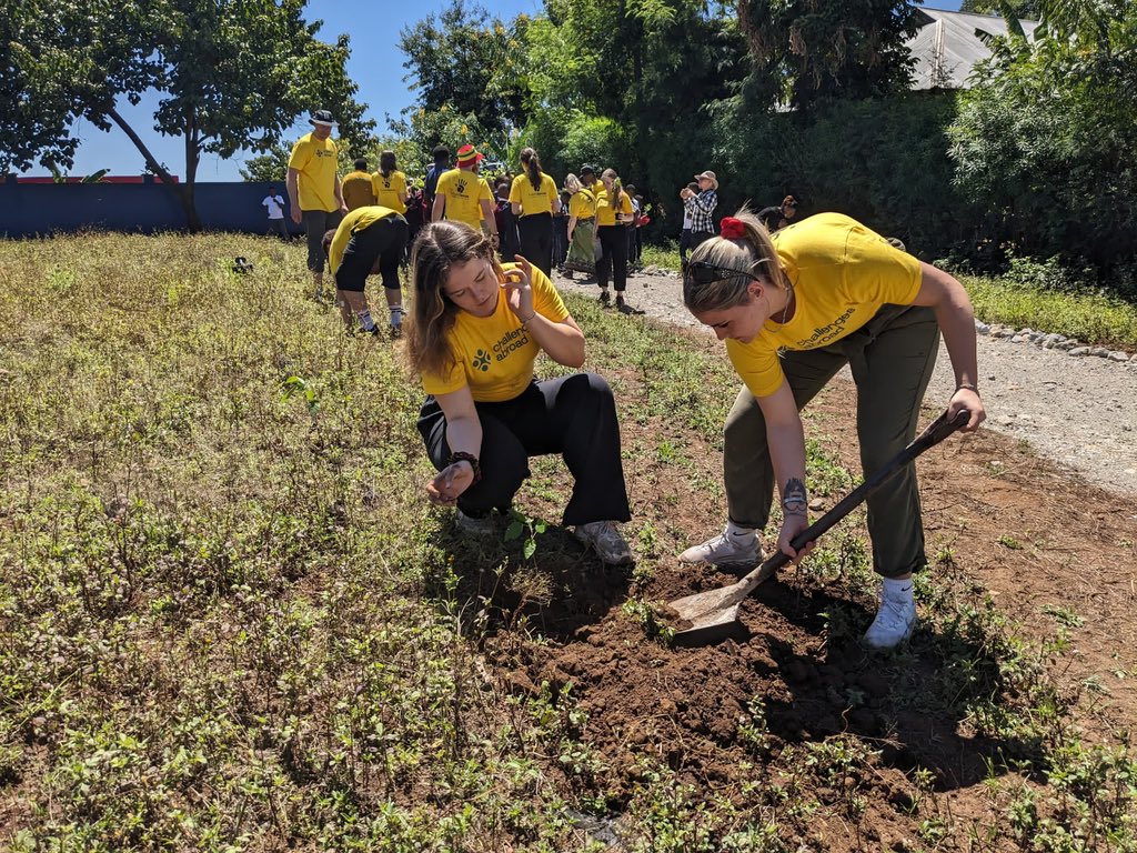 Conor Lees tweet media