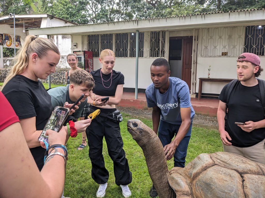 Conor Lees tweet media