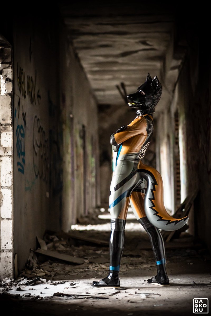 ShinyTekkie's tweet photo. Don't worry, you can follow me, I'm a pawfessional 😎

📸 by @DakoruAD https://t.co/lRMoxavfuE