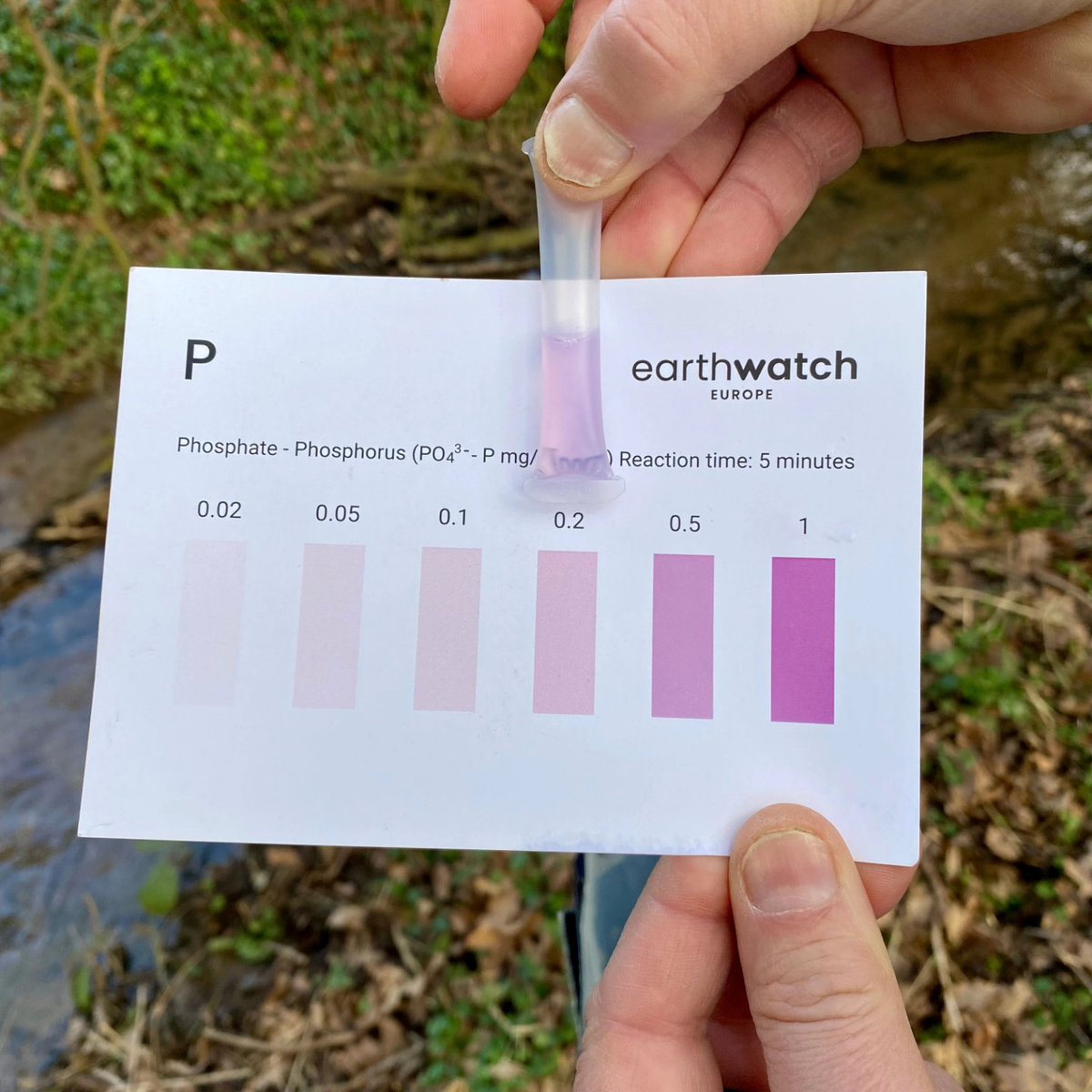 Out with a few locals today testing the water quality in Hanwell Brook. We found high levels of phosphate & the highest level of nitrates

14yrs of the Tories in power has only made our waterways a lot dirtier 💩

#EndSewagePollution #TogetherForRivers #ThamesWater #SewageScandal
