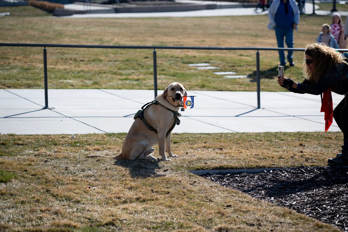 It's official! Today, the Beehive Flag becomes Utah's official state flag. This symbol of strength, unity, perseverance, industry and faith is the result of significant public outreach and input. It honors Utah's rich heritage and the community's commitment to supporting and