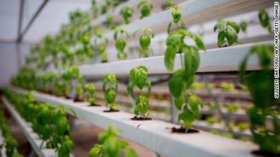 NigeriaStories's tweet photo. Meet Samson Ogbole the Nigerian farmer who grows crops in the air!! 
He is doing this using Aeroponics a process of growing plants in the air without the use of soil.
Here are some food items from his farm https://t.co/4JAPsB7RRX