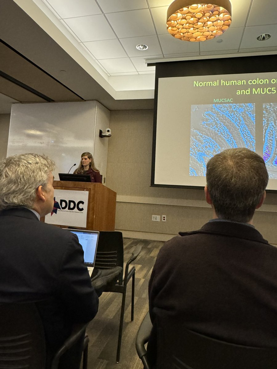 Allison Leigh Speer tweet media