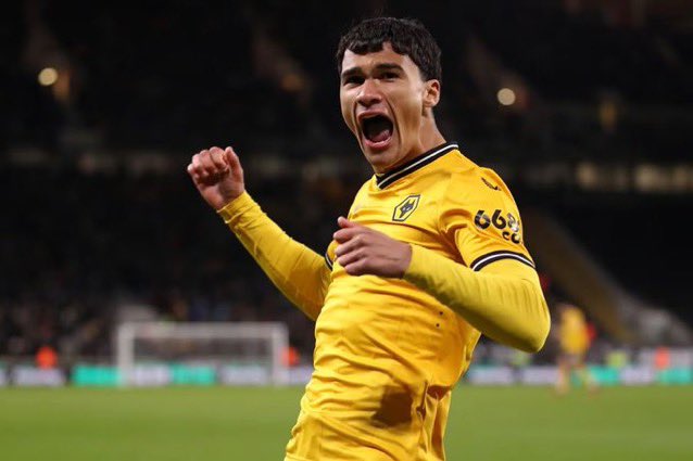 Cape Cod Wolves tweet media