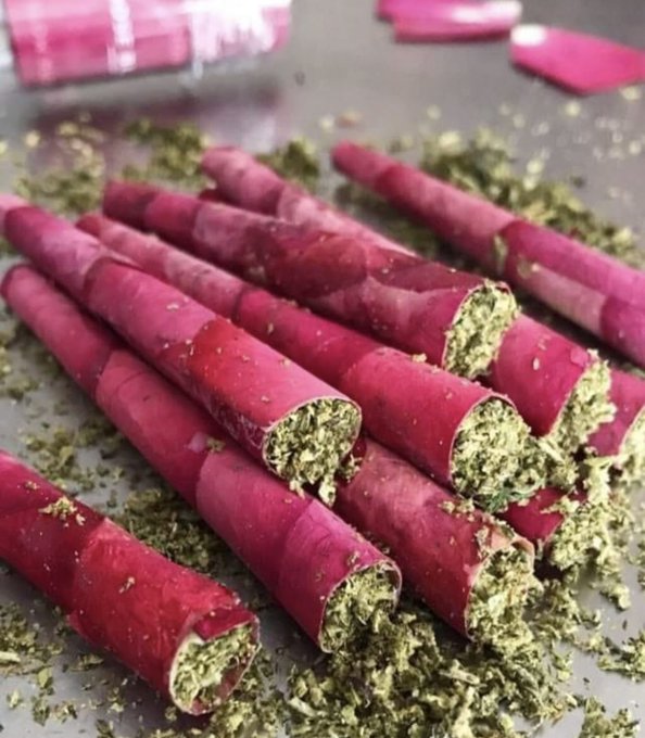 BudVizion tweet media