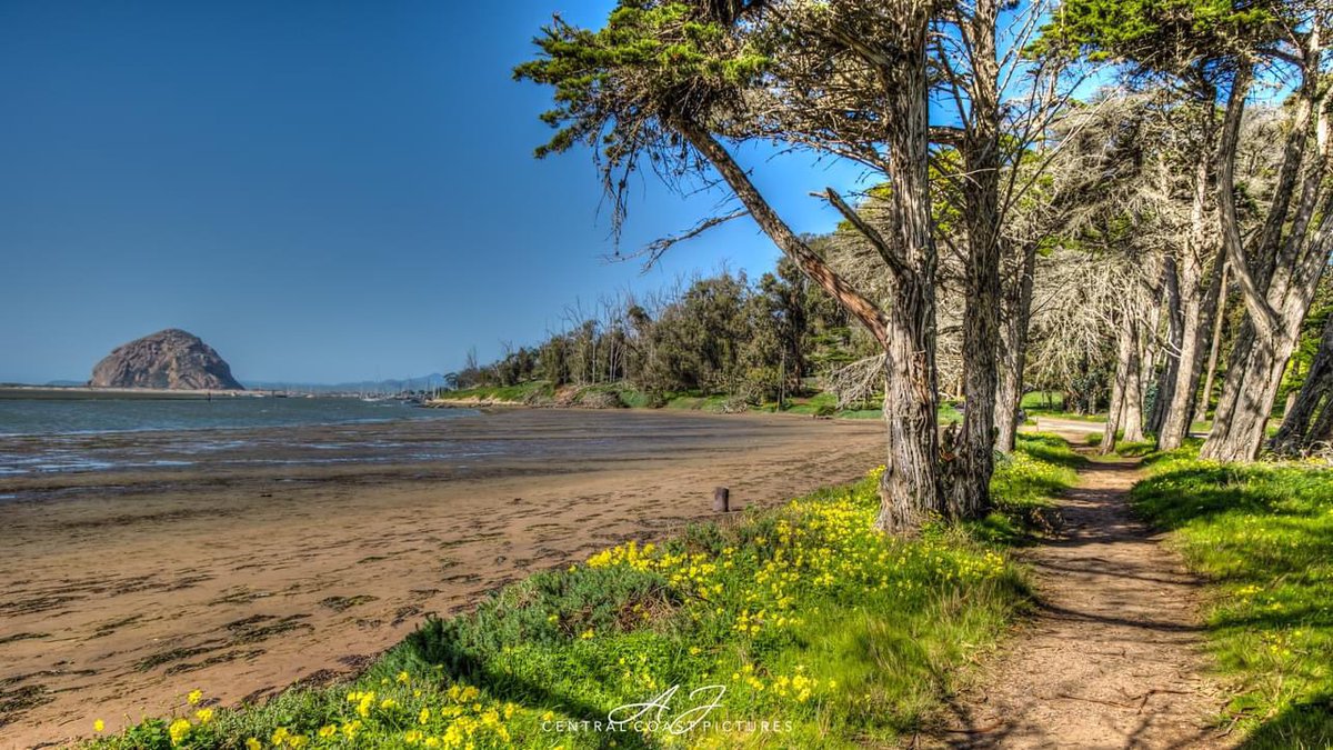 CentralCoastPictures tweet media