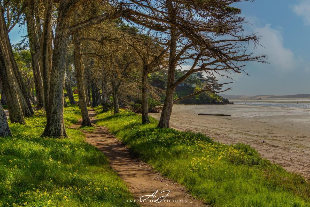 CentralCoastPictures tweet media