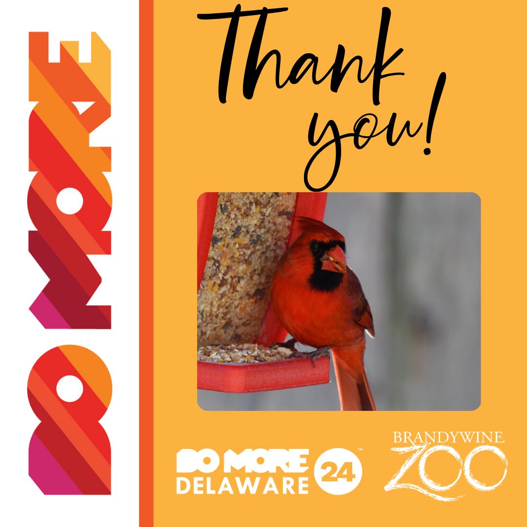 A special thank you to all who contributed to our #DoMore24DE! 😀🙏

It will make the lives of our animals and our zoo a better one! #thankyou #domore24 #inwilm #wilmlove
