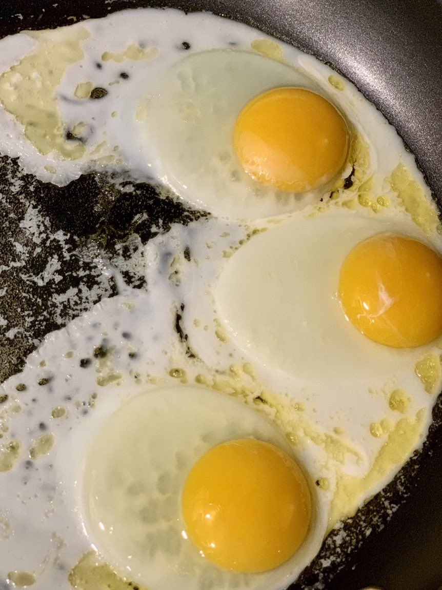 Nick Ford tweet media