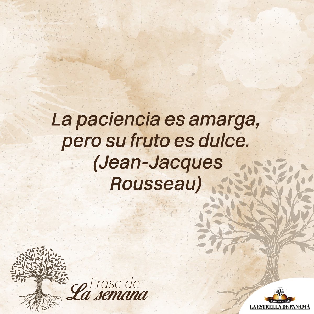 100+ Imágenes de Buenos Días con Frases Bonitas y Positivas, image size:1200x1200