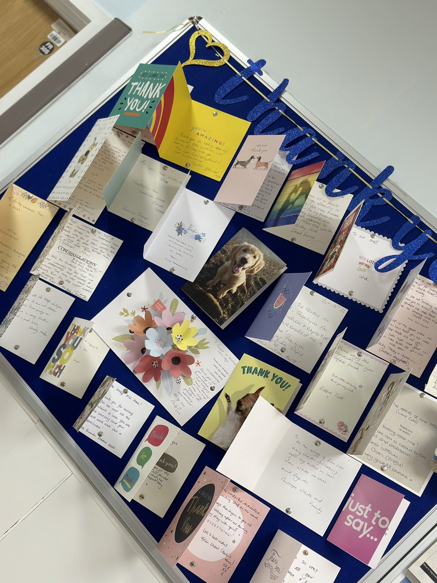 RuhMssu's tweet photo. Our ward clerk Georgia has made a thank you board outside of our ward to showcase our beautiful thank you cards. Still lots to put upโฆ weโre going to need a bigger board! ๐๐ฉต๐๐ฉต๐
#thankyounhs #nhs #acutemedicine #bathruh #thankyou #feedback #jobwelldone @RUHBath https://t.co/ym1IuPmgFZ