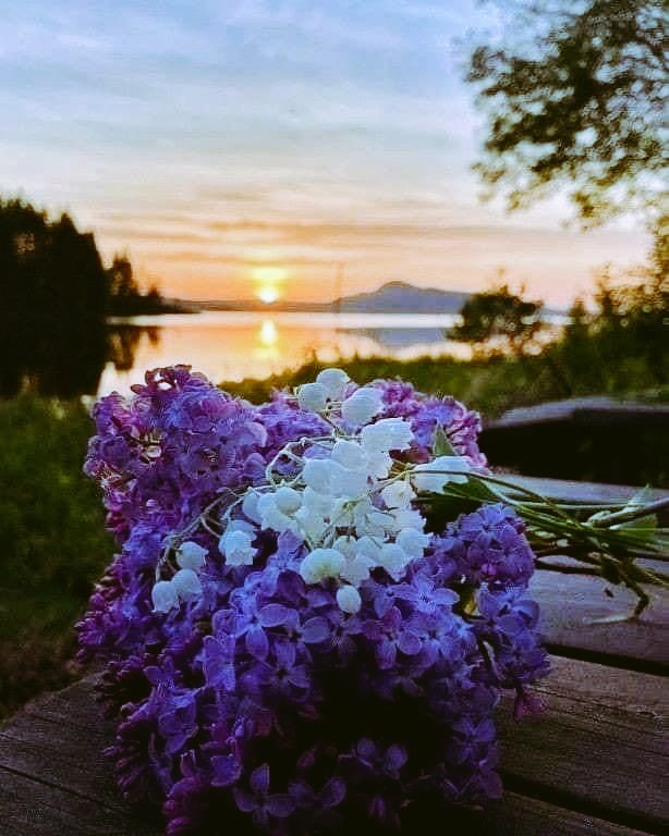 Bornlovely25's tweet photo. Good day,everyone 💜🥰🤍 https://t.co/NvtX4Ku2sU