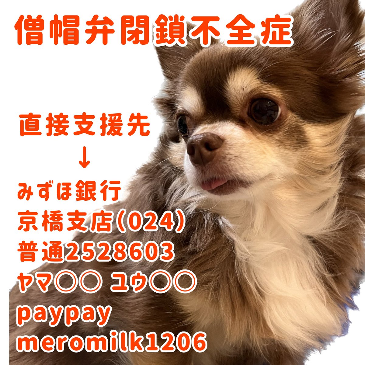 助けてください‼️
僧帽弁閉鎖不全症治療費のクラウドファンディング終了まで残りわずか💦💦

【残り約20時間‼️】
【目標まで40万4千円】

詳細はプロフィールURLからご覧ください🙇
家族が重い病で倒れ、皆様に頼らせていただいています🙇
readyfor.jp/projects/135900
