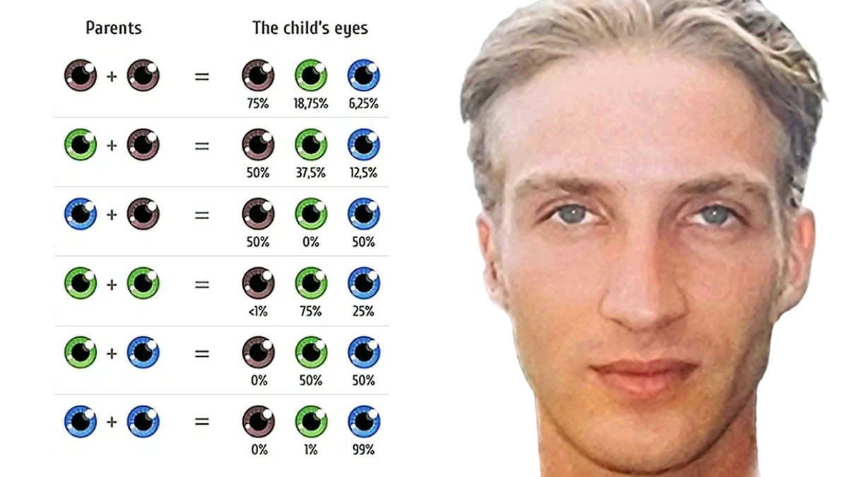 Interesting chart on eye color genetics: Both my parents had brown eyes, so  there was only a 6.25% chance I got my blue eyes., image size:1200x675