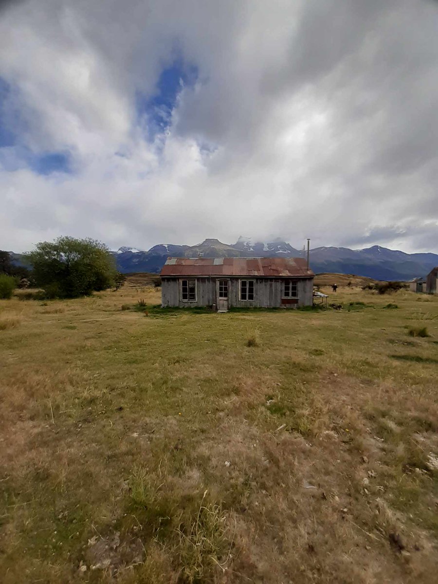 Amanda Brown tweet media