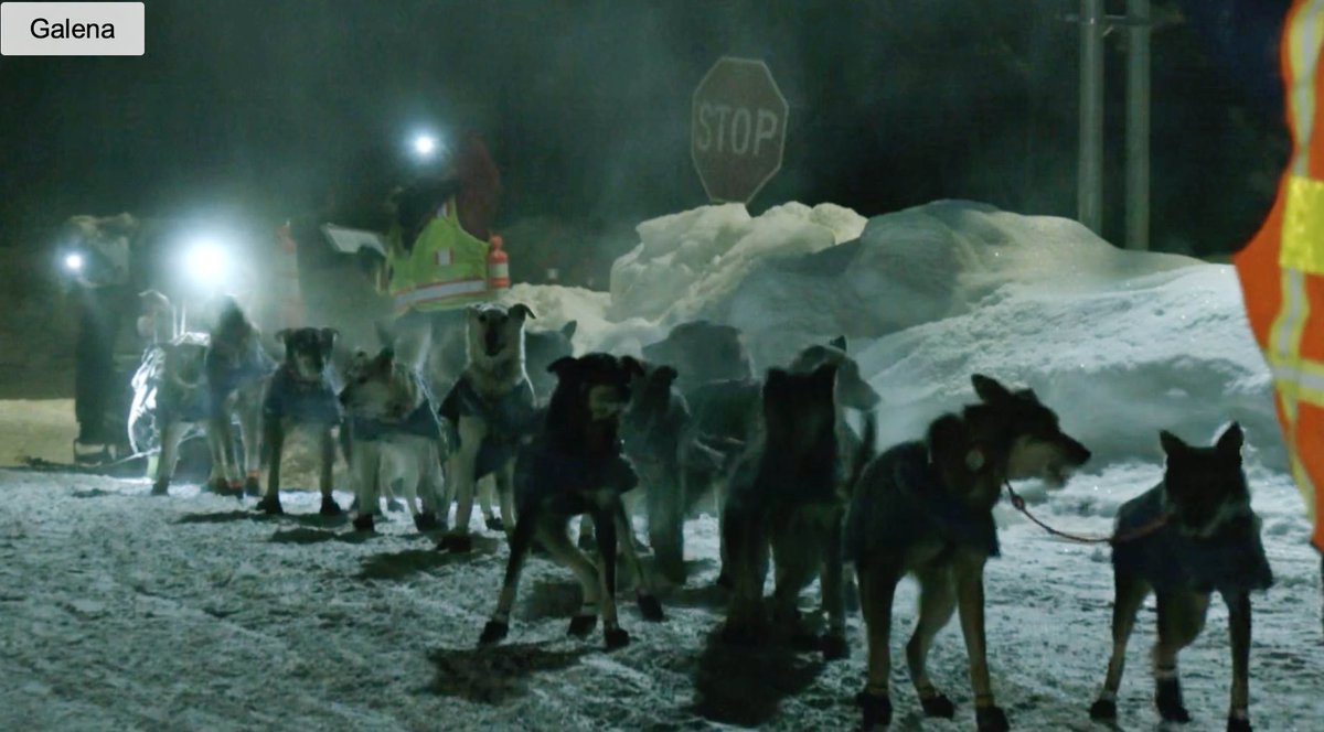 FionaWonderCat's tweet photo. #NicPetit has arrived in Galina!
#Iditarod52 #MusherTwitter https://t.co/lMEKgUEtWE