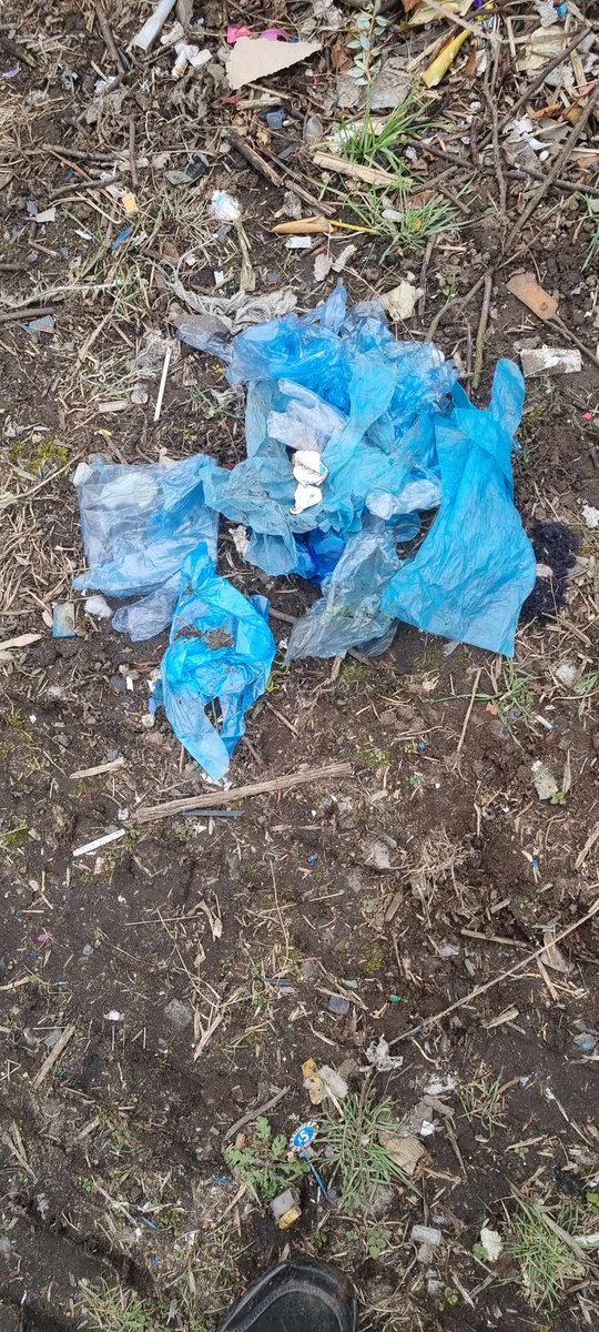 @sainsburys any chance you could stop providing these blue gloves at your petrol stations? We must have removed over 500 of them out of the bushes in Irvine today. I hate to think how many are floating out to sea via the river. 

#singleuse #unnecessary