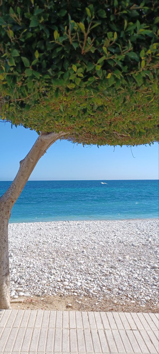 Marie Connell tweet media