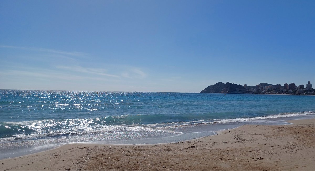 Marie Connell tweet media