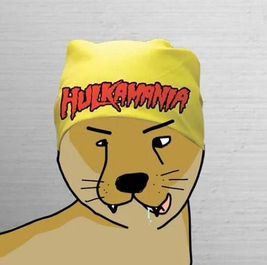 DougWitHet $WIT tweet media