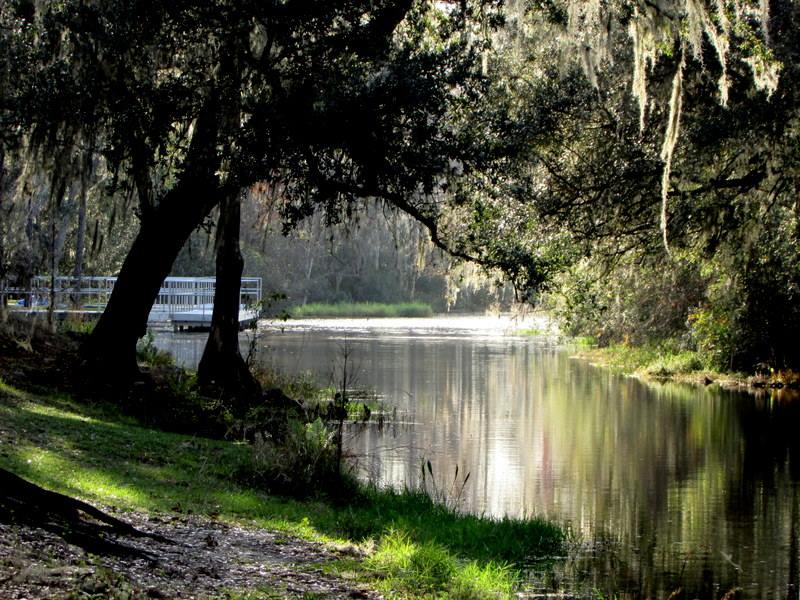 Headed back to #MossPark in the Orange County Park System for another 3 day camping adventure. Will be awesome! Here's a photo I took a few years back while in that much-loved spot...