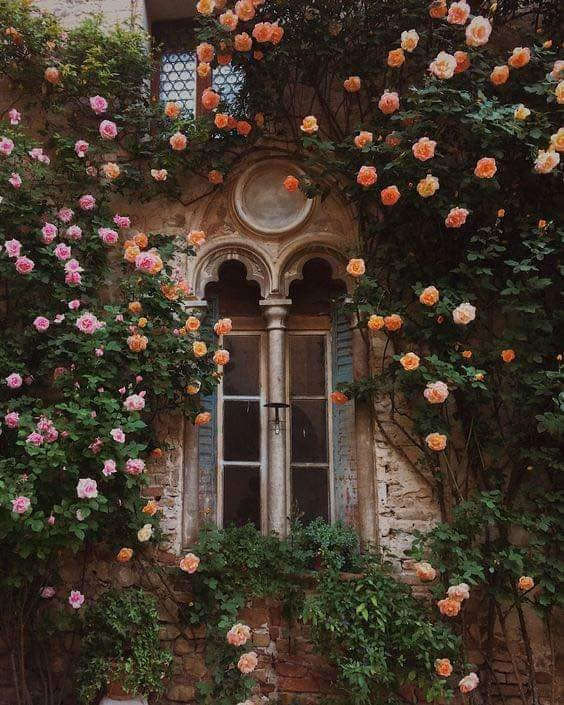 artindetails's tweet photo. flowers on windows. https://t.co/YtEDIH3AB3