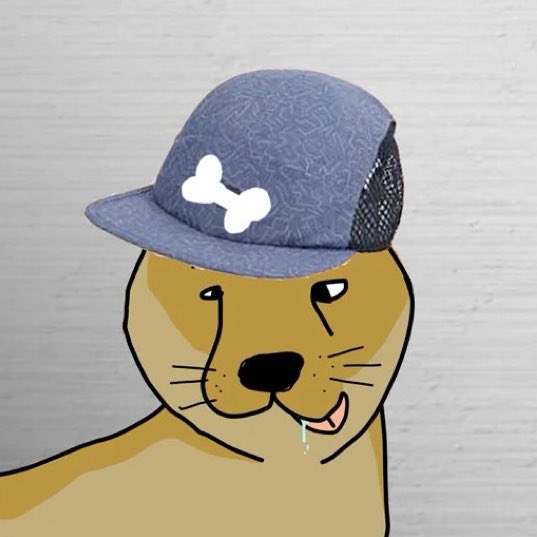 DougWitHet $WIT tweet media