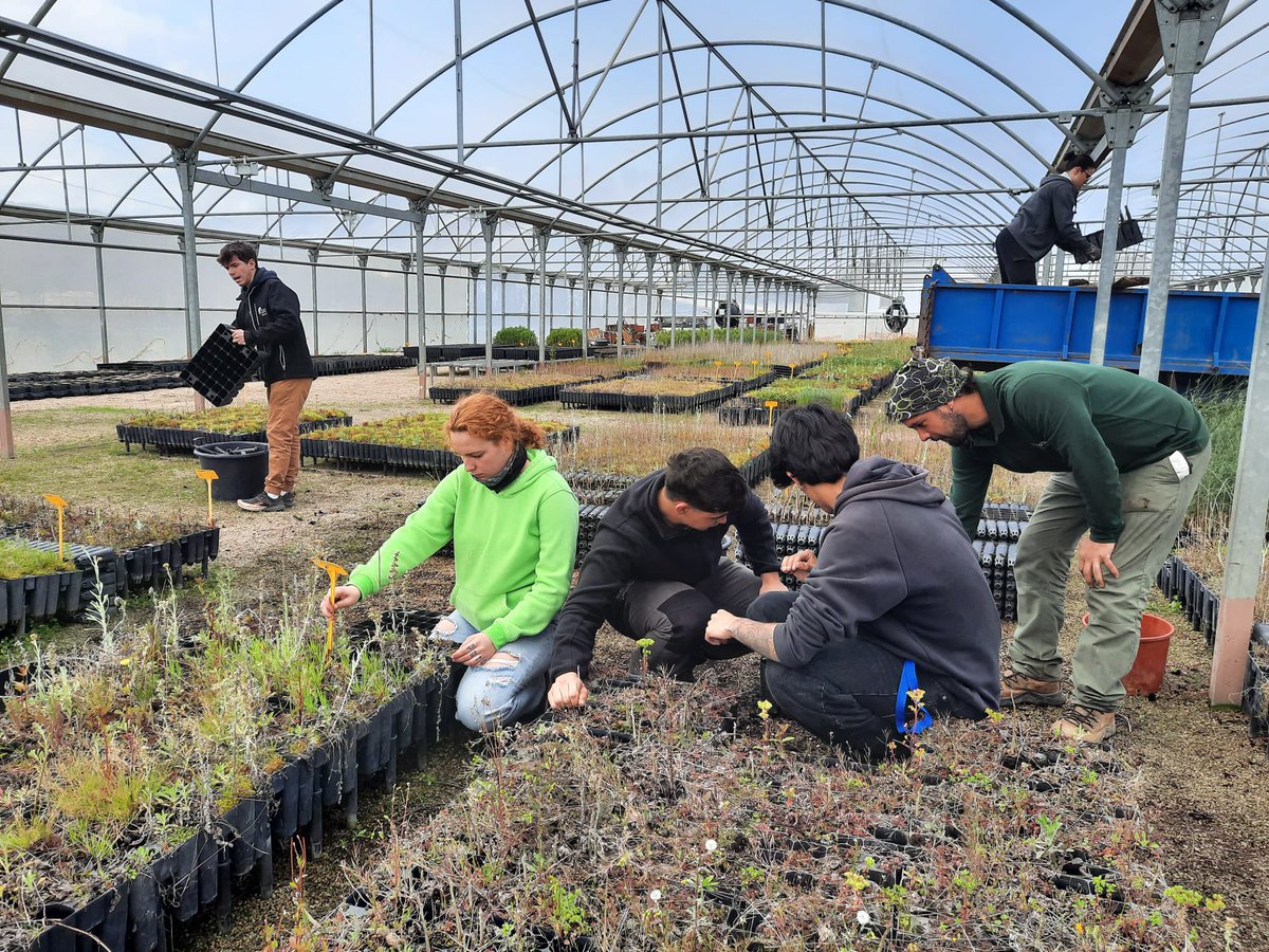 Fins i tot s’han pogut convertir en el personal del viver assumint-ne algunes tasques del dia a dia:

🌱 Podes de formació 
🌱 Entestaments de planta 
🌱 Preparació de comandes 

🫱🏾‍🫲🏼 Molt agraïts a l’equip del viver pel seu temps i coneixement!

#SortidesEASolsonès 
#SomFormacióEA