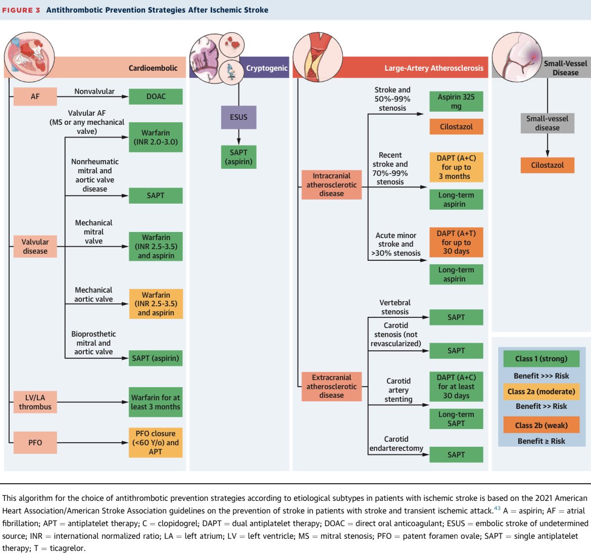 AmbrizMau's tweet photo. Terapia antitrombótica para la prevención primaria y secundaria de la enfermedad vascular cerebral isquémica.

J Am Coll Cardiol 2023; DOI: https://t.co/3eFK3UB9JD https://t.co/KMmvnnDvUI