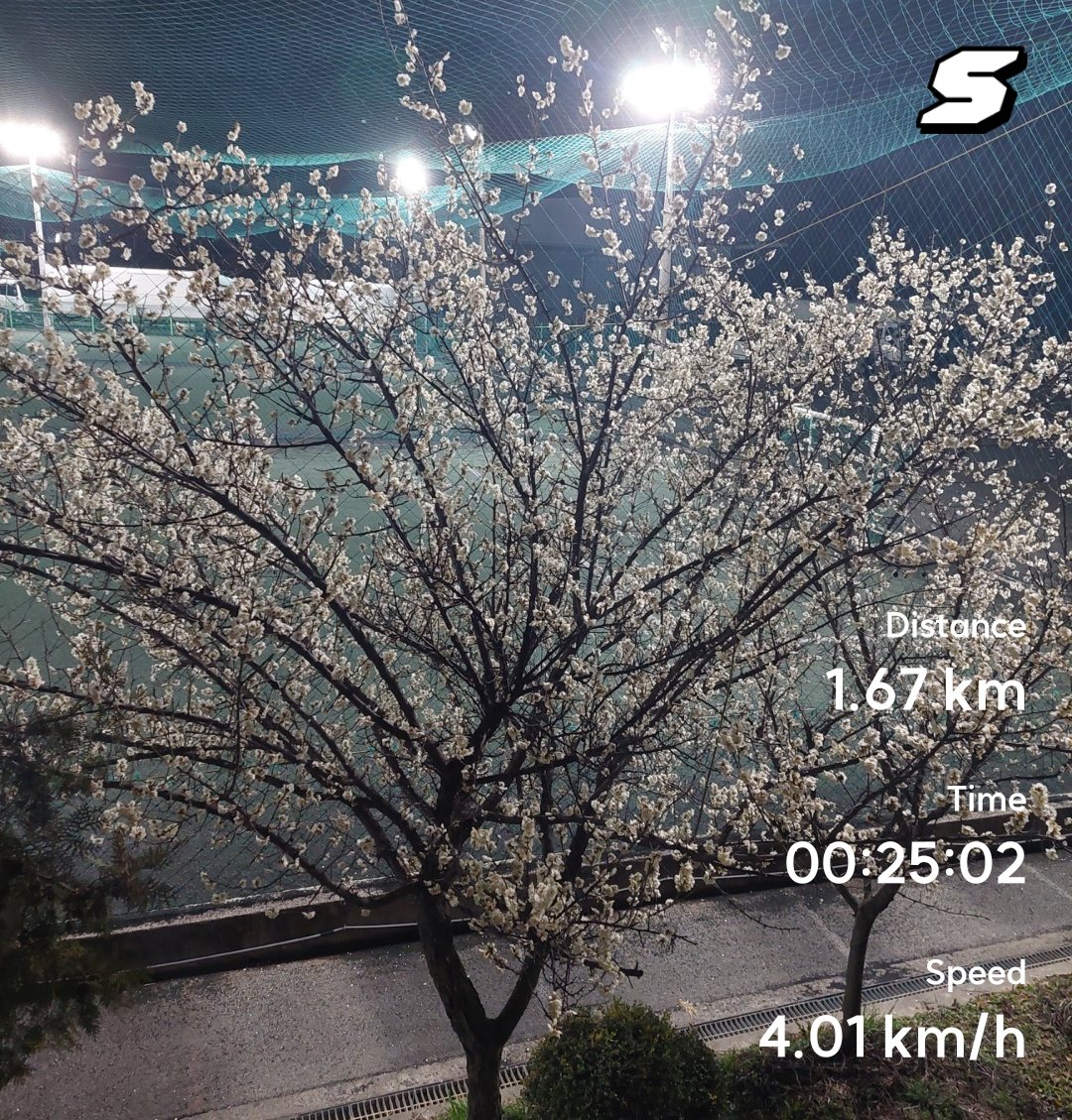 동룡이 tweet media