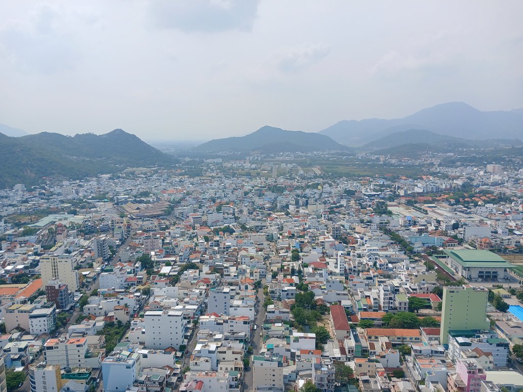 Императрицератопс tweet media