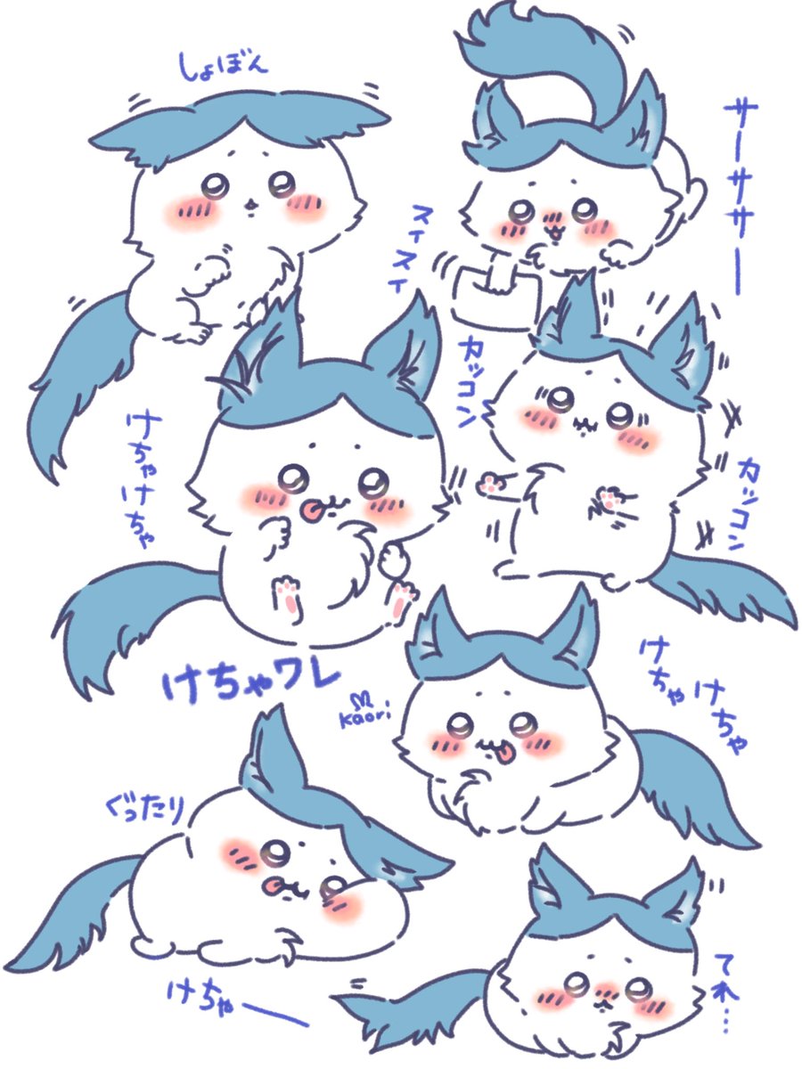 ハチワレちゃん