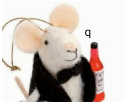 𝒑𝒂𝒏𝒅𝒐𝒓𝒂 𝑟𝑜𝑠𝑖𝑒𝑟. (@witchagainstgod) on Twitter photo 