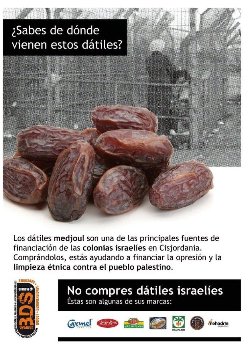 alqudsandalucia's tweet photo. La industria de #ApartheidIsrael  del dátil teme un boicot durante el Ramadán
https://t.co/kvr3IoDV99

https://t.co/I4Cozr9msA

@DiarioOctubre
@RESCOP1

https://t.co/1yrPEioCvN https://t.co/cq8bqiUPSP