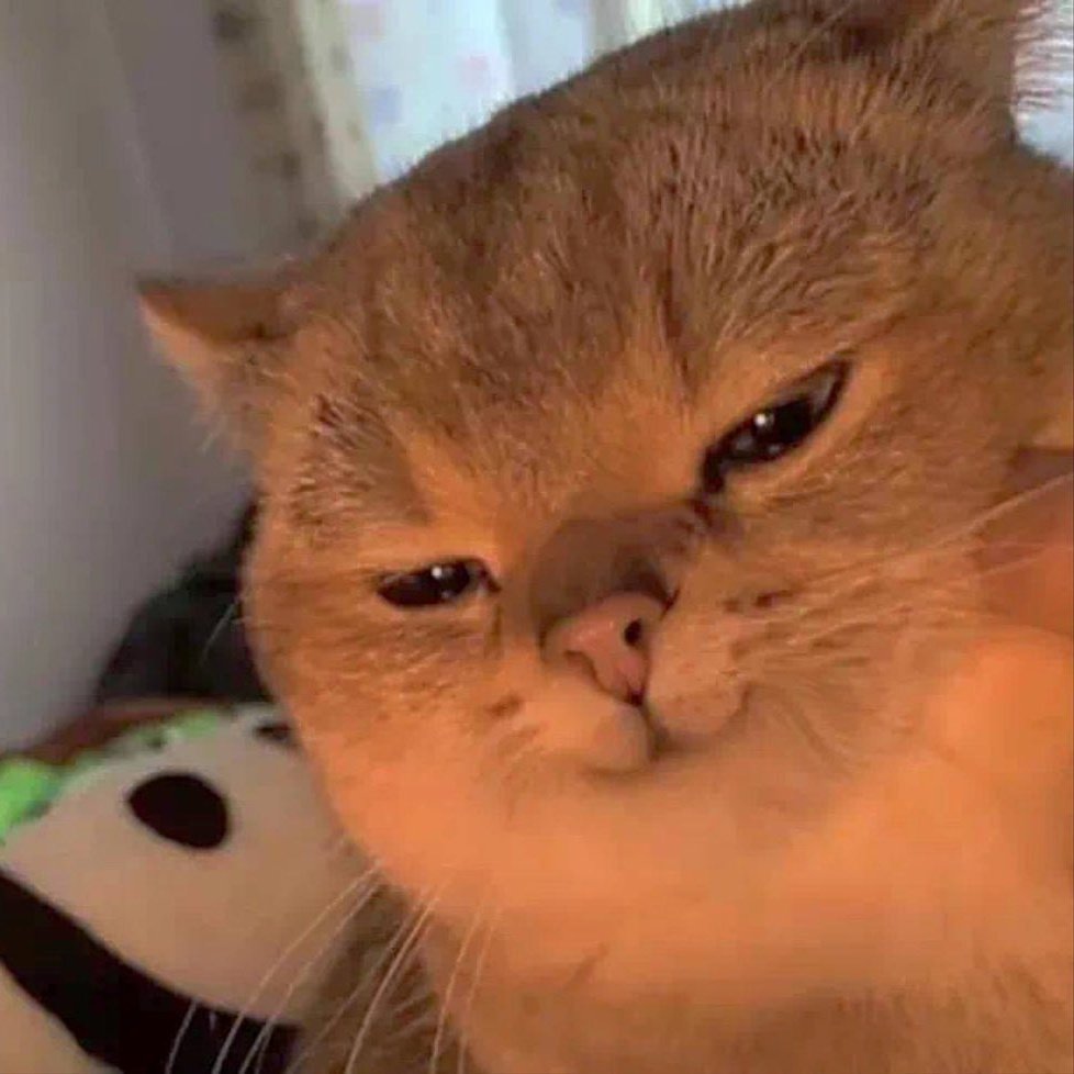 〘 CHAT: <a href="/whimvagary/">𝑅𝐴𝐼𝑁 .</a> 〙
◈　You look cool. 💣