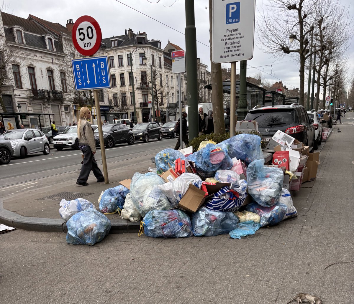 Dimitri Strobbe 🚧 tweet media