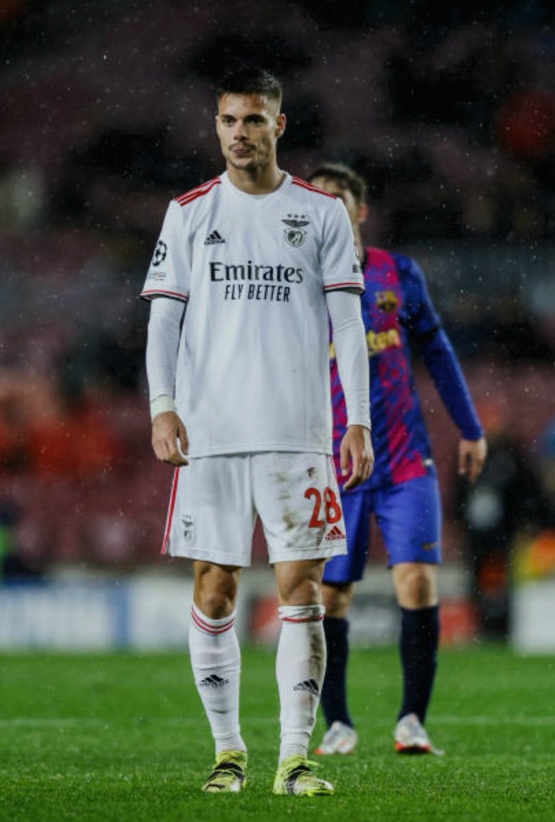 Qual foi para vocês o jogador estrangeiro mais mal aproveitado pelo Benfica nos últimos anos? 

Vou ser polémico : Julian Weigl 🇩🇪