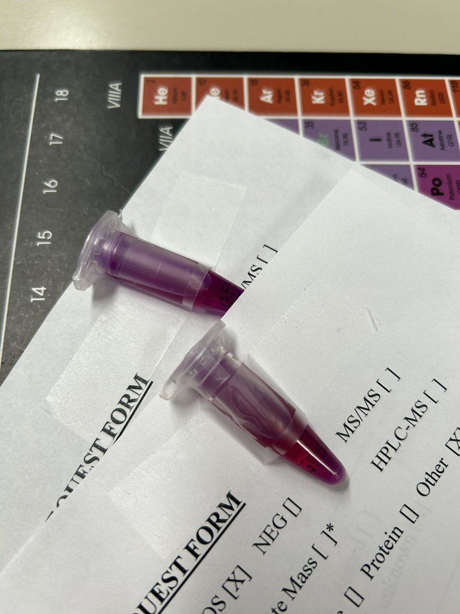 gretafogar's tweet photo. What a colourful PhD✨

#porphyrins #supra #PhD #unitrieste #DSCF https://t.co/5Iddz1L7MO