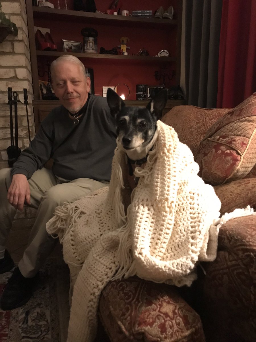 lairmistress's tweet photo. Just a throw back of 2 of My wonderful servants. We miss you catboy.#mydogsadominatrix #MistressfuckingCat https://t.co/xrKrCG1K8w