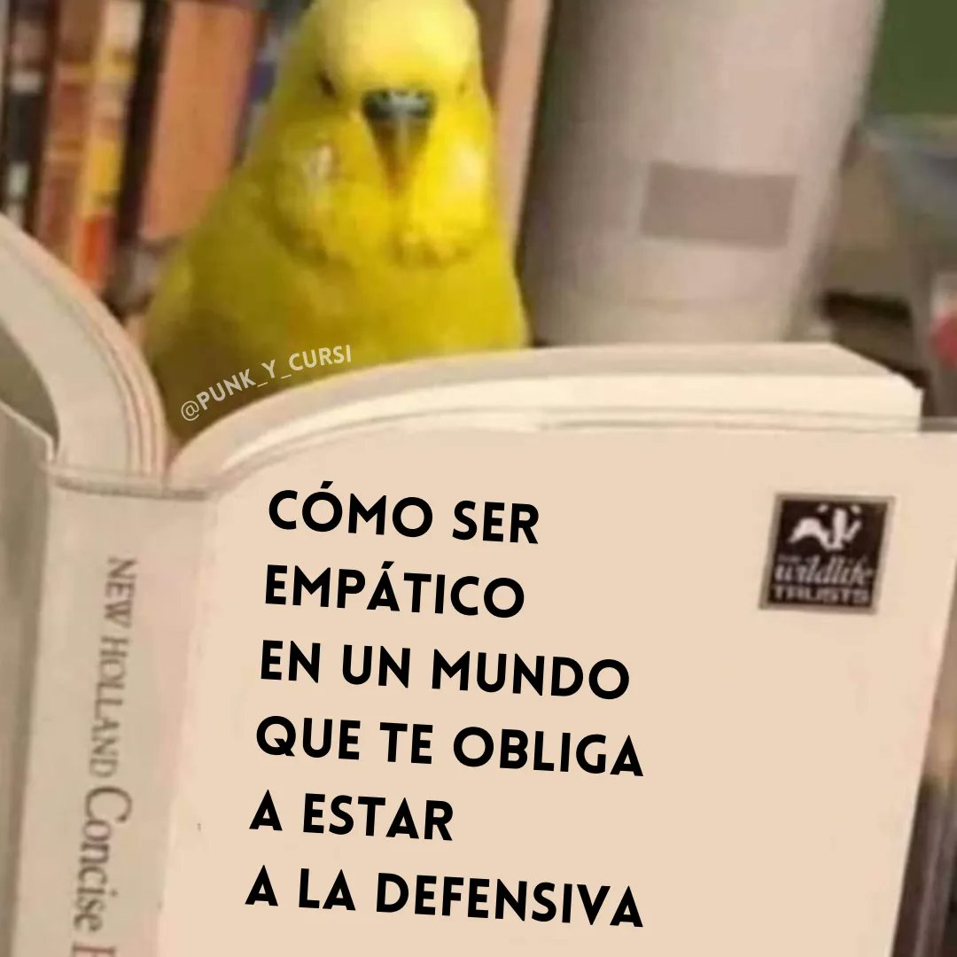punk_y_cursi's tweet photo. 🦜 https://t.co/wlGtKAe4UF