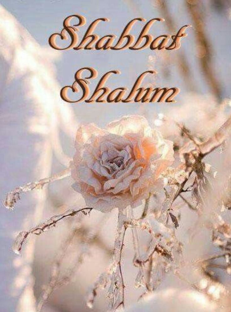 beautydakia's tweet photo. https://t.co/pU5WM4d2eV
