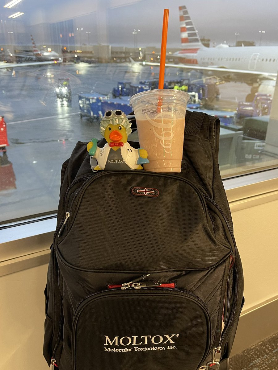 MOLTOXMT's tweet photo. Orland and his person are up early and looking forward to seeing you all soon!  Safe travels All!  #2024sot #orlandsadventures @SOToxicology https://t.co/MgLUlHiR9K