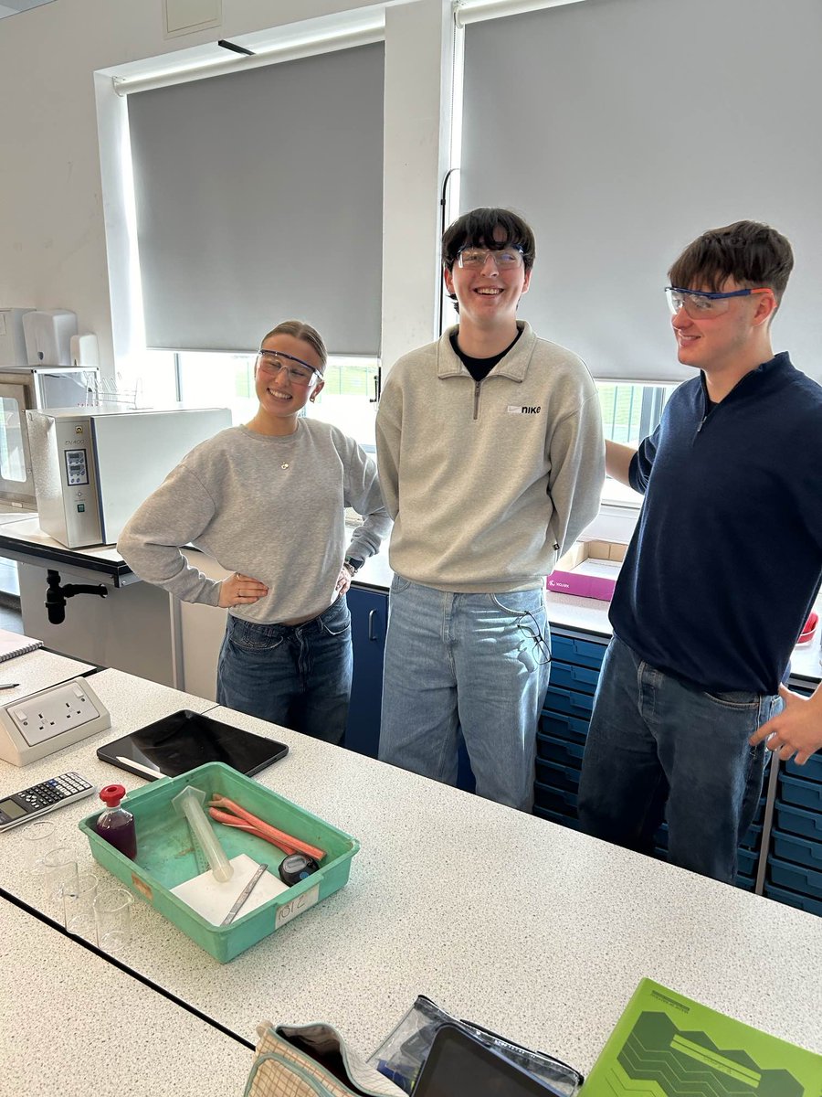 Year 13 Biology students are having fun investigating how the surface area to volume ratio of rhubarb affects the de-colourisation of potassium manganate!🧪 #TeddingtonSchool #Teddington #Biology