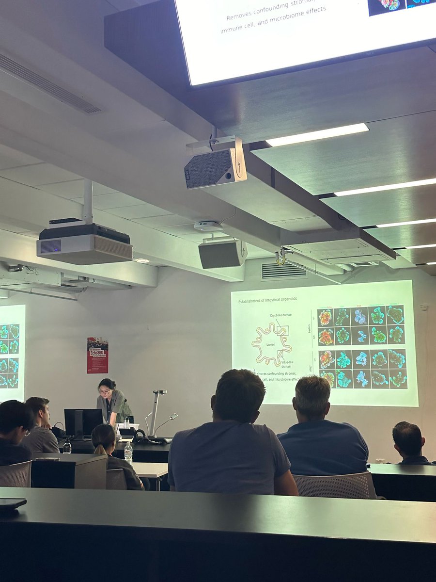 Erinna Lee tweet media