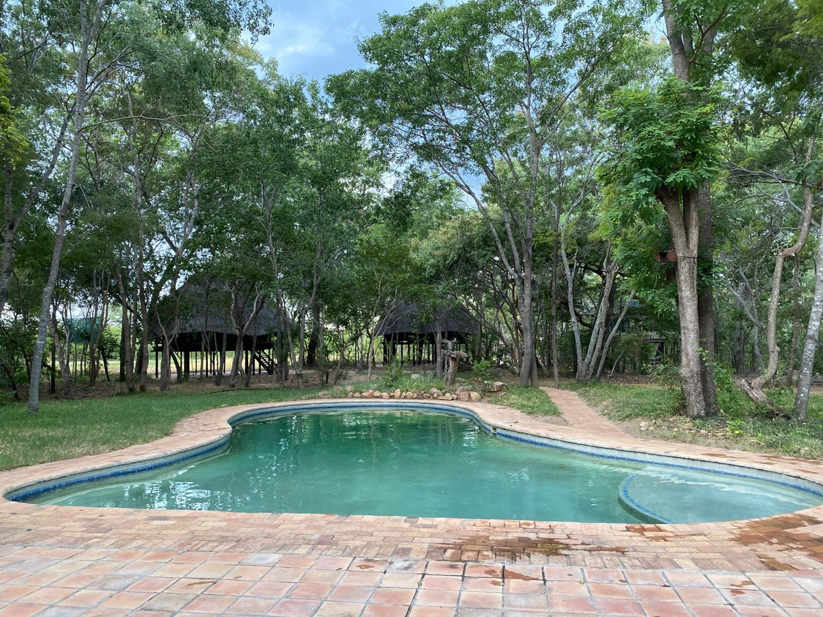 I'm at Miombo Safari Lodge swarmapp.com/viktorsveips/c…