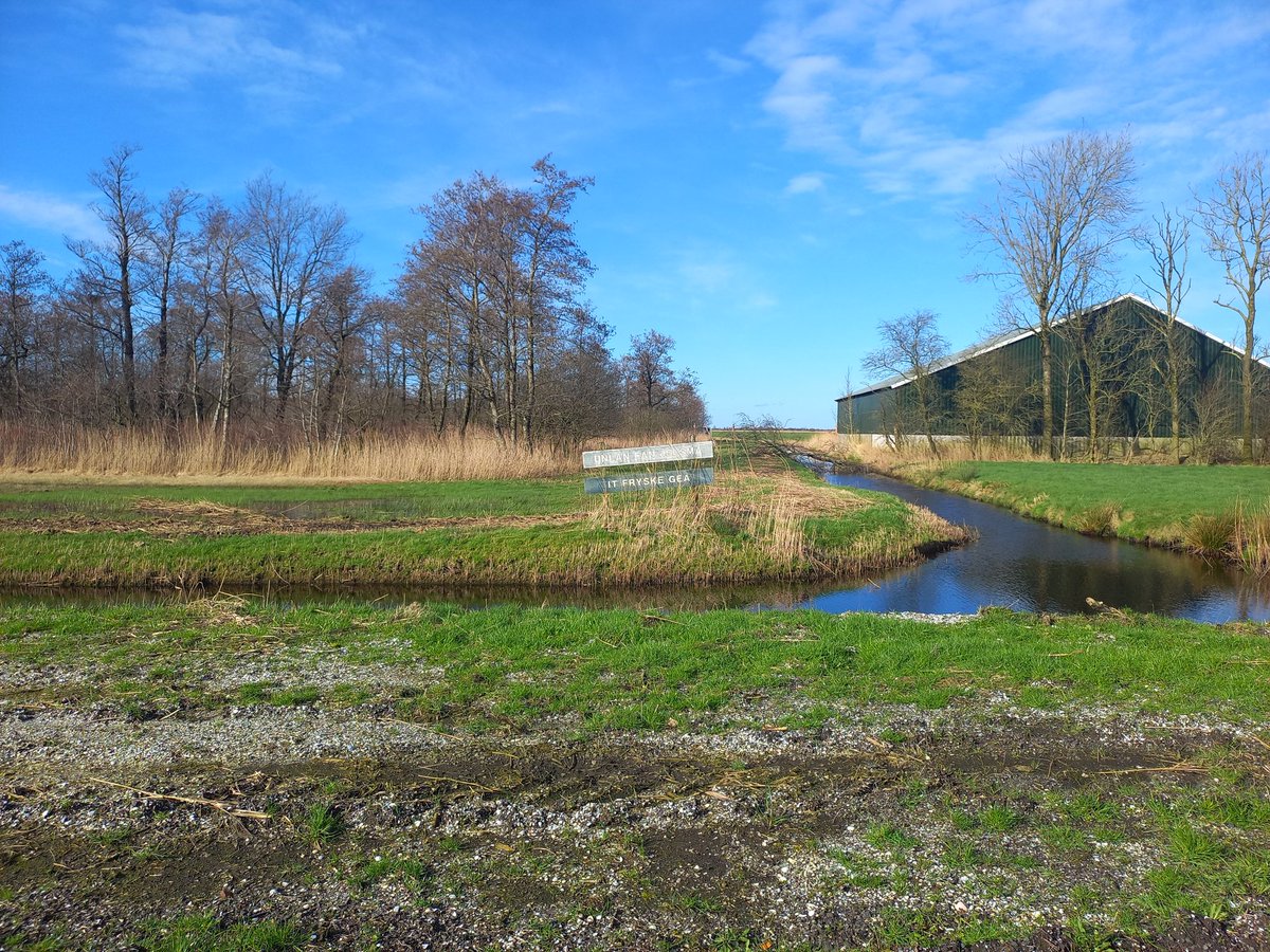 muncio's tweet photo. Unlan fan Jelsma , blauwgrasland. https://t.co/TwdW2TcUR0
