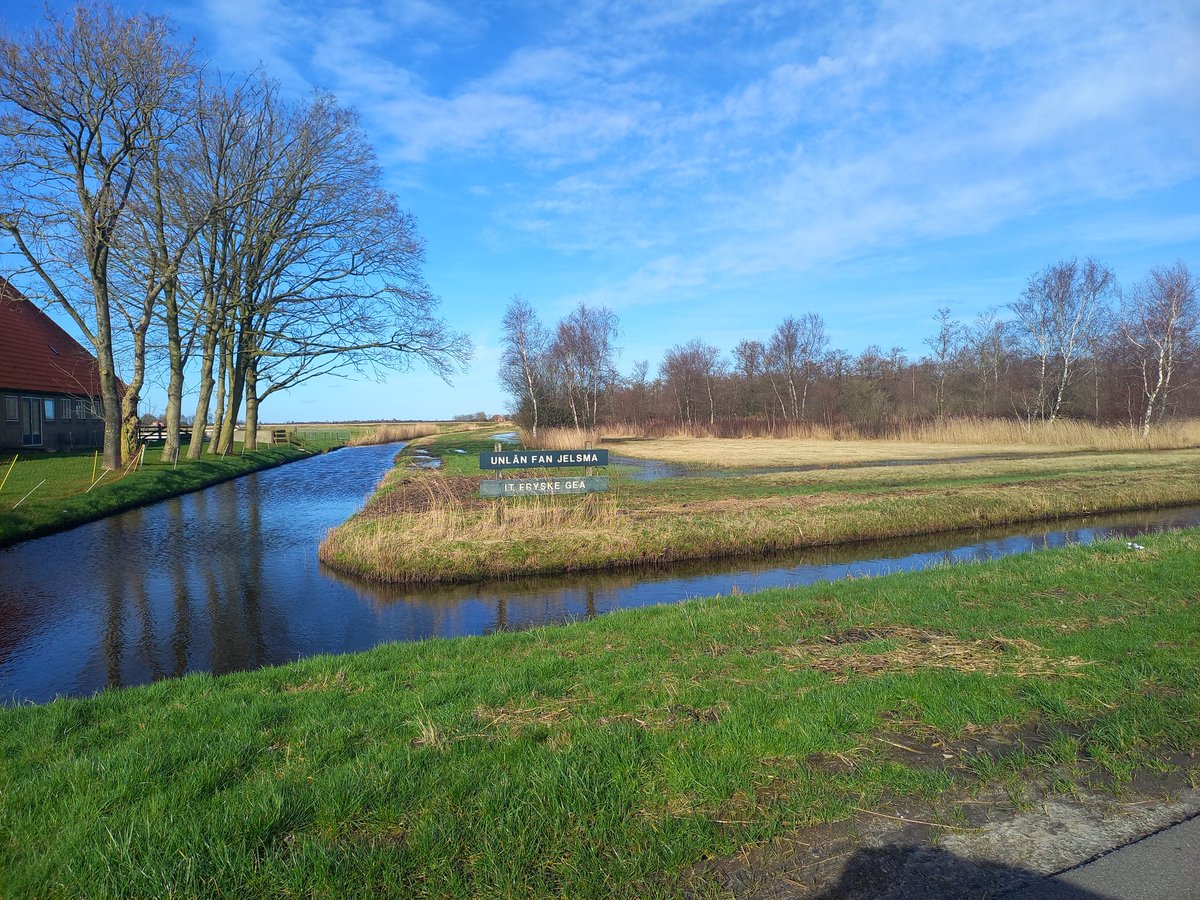 muncio's tweet photo. Unlan fan Jelsma , blauwgrasland. https://t.co/TwdW2TcUR0