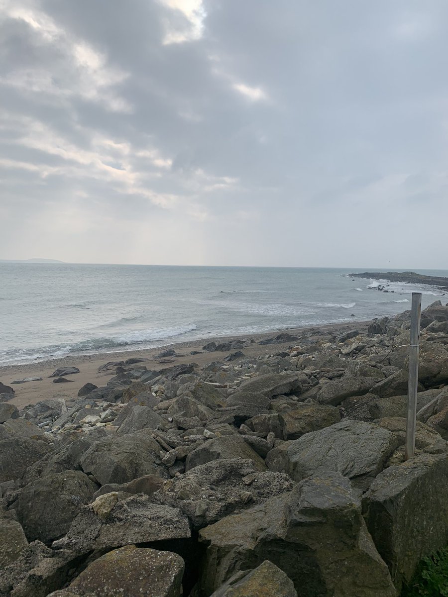 Jane Johnstone tweet media