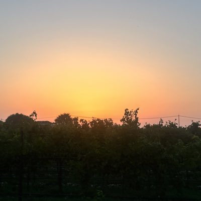 BEI_Berlin's tweet photo. #NeuesProfilbild https://t.co/wDOzK1jVKf