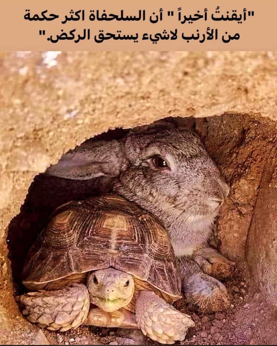 المُذهلــہ↜ tweet media